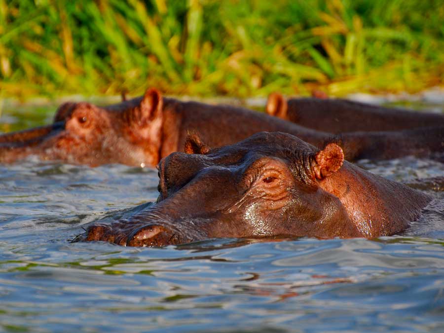 What is special about the Kazinga channel?