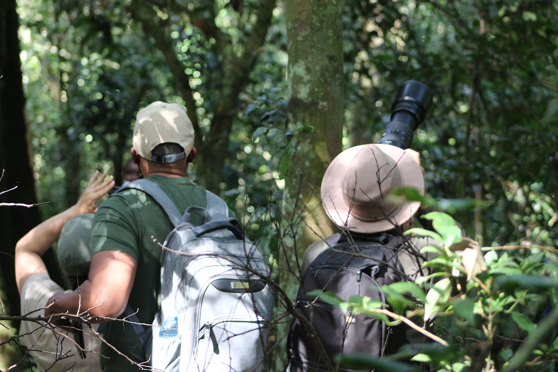 14 Days Chimpanzees, Gorillas & Wildlife Safari - Early Trails Expeditions