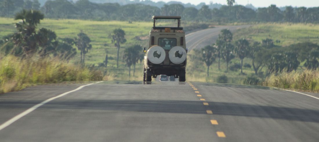 Uganda Safari Adventure Wildlife