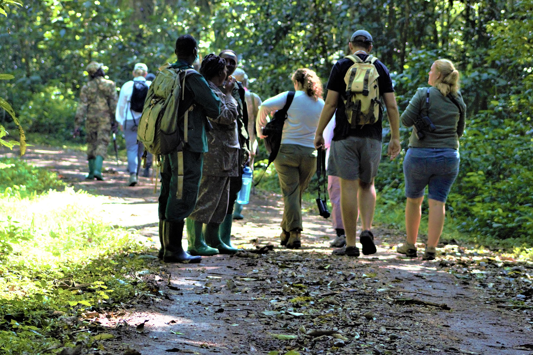 Wildlife Adventures in Uganda