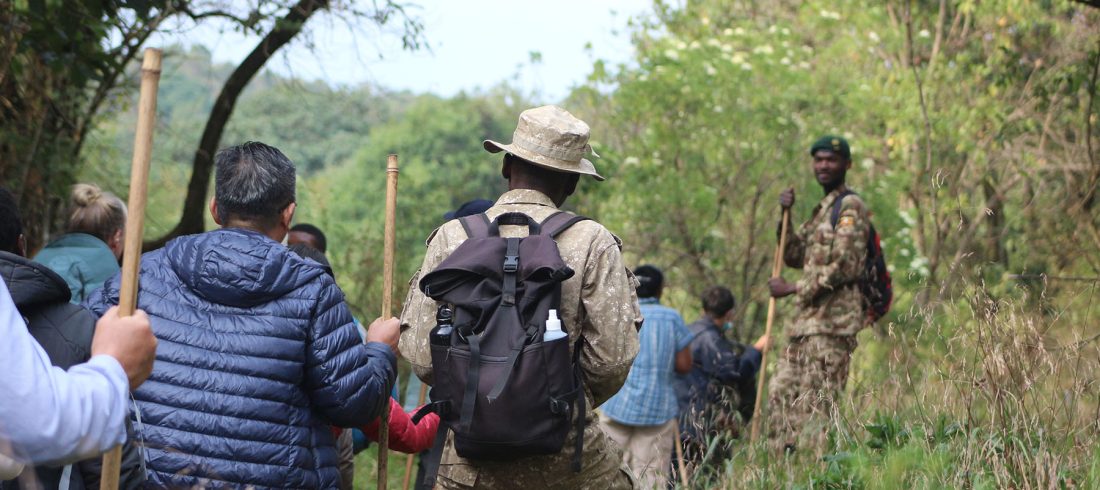 Mountain Hiking Safari