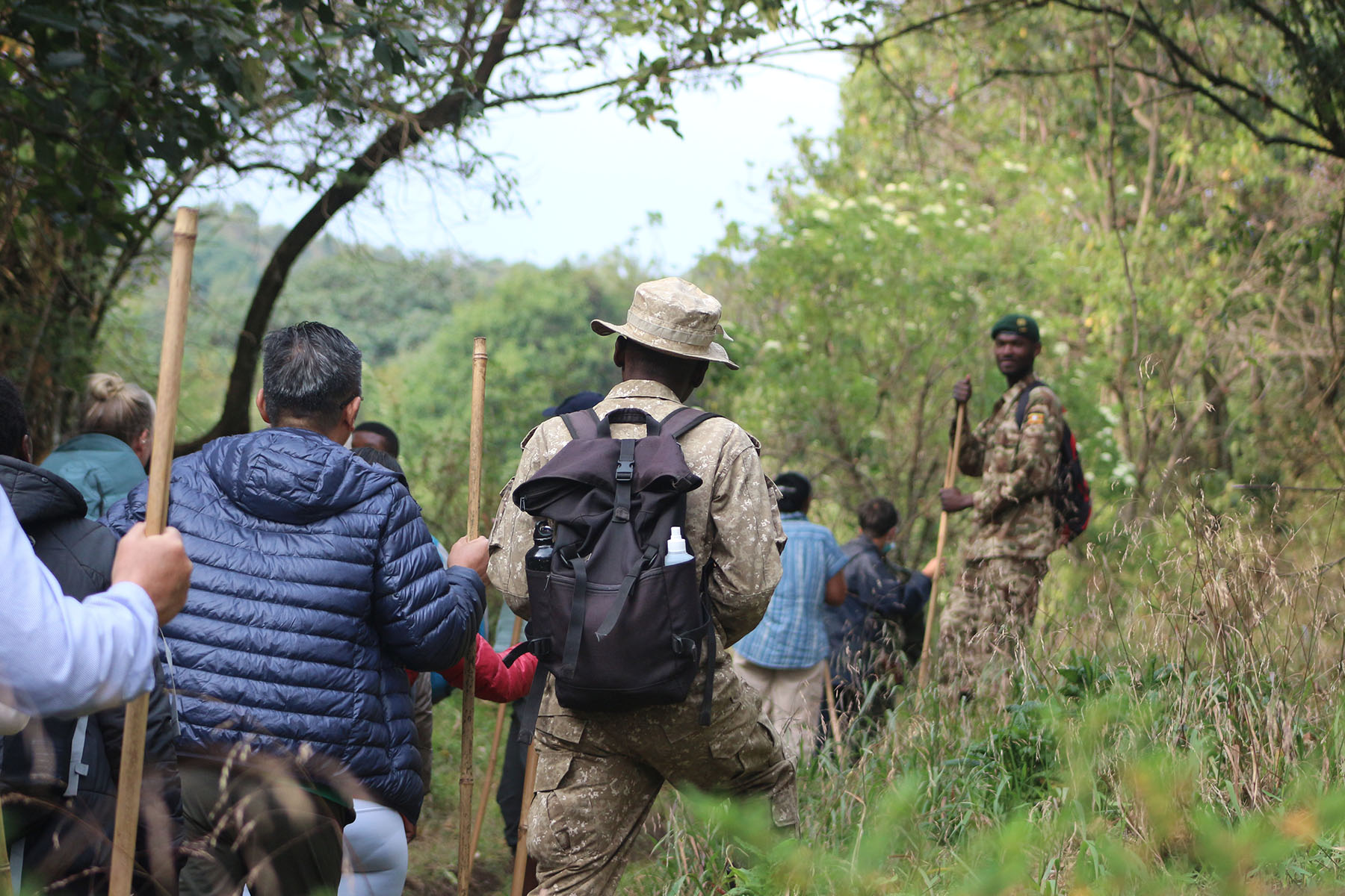 Mountain Hiking Safari