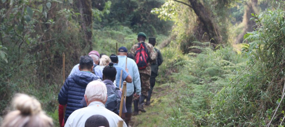 Gorilla trekking adventure